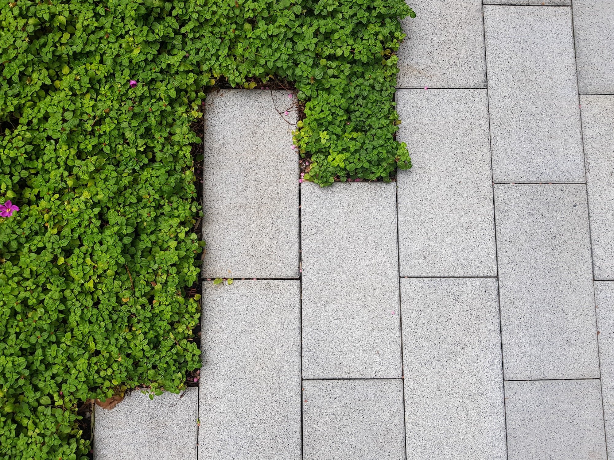 Residential Landscaping Melbourne | Outdoor Indesign